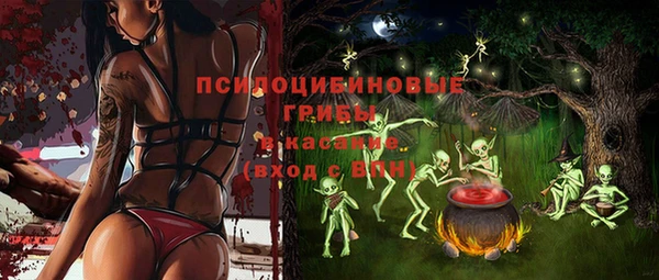 Альфа ПВП Бородино