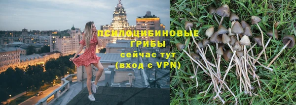 тгк Осинники