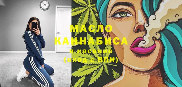 Альфа ПВП Бородино