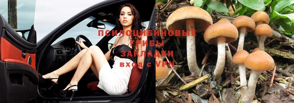 молекула духа Бугульма