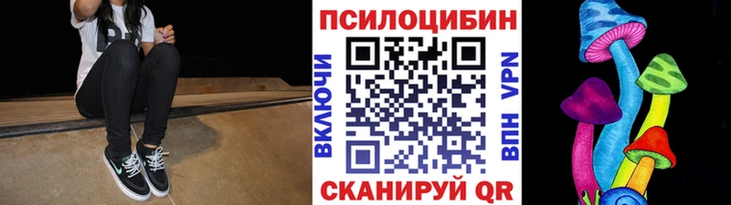 где купить наркоту  Кочубеевское  Галлюциногенные грибы MAGIC MUSHROOMS 